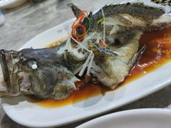 石斑鱼清蒸-四川小胡子海鲜(丁村万人海鲜广场店)