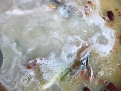 -颜氏双江清水鱼一养身火锅(磁器口店)