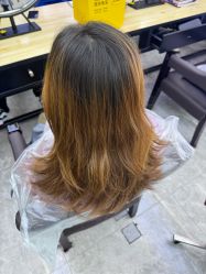 -藤野造型烫发染发