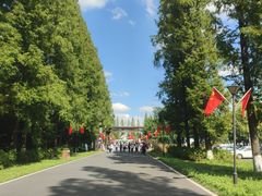 -黄海国家森林公园