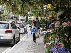 -溪岸路花鸟市场