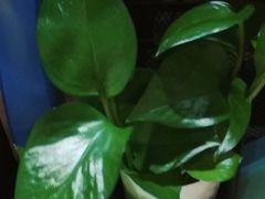 -学习谷日语培训日本留学·多语种外语教学(海淀人大分部)