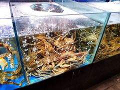 -蟹之国·精品蟹料理(极地店)