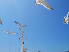 -海驴岛(荣成市)