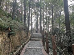-南山植物园