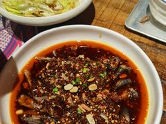 -铁公鸡·四川料理(天环广场店)