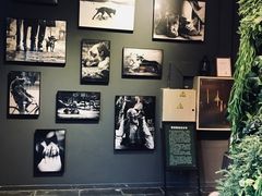 环境-百好乐宠物友好餐厅(朝外大街店)