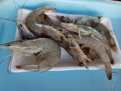 -巴麦隆自助烤肉(桂林路店)