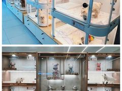 -翊宠yipet猫狗购宠庄园犬舍•猫舍