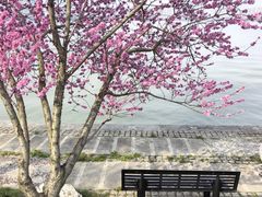 -无锡蠡湖国家湿地公园-蠡园