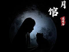-屋有岛沉浸游戏旗舰店(中山公园店)