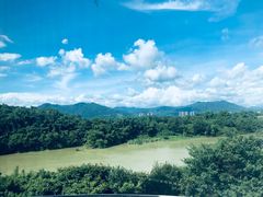 -福建鲤鱼洲酒店