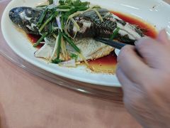 -海晖酒楼·顺德鱼生(荣华店)