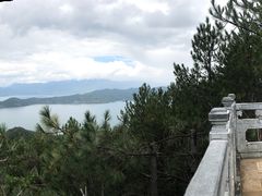 -东巴谷野生菌火锅餐厅