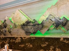 -广州白云机场雅高铂尔曼大酒店