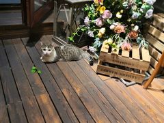-IFIF 如果花園(宽厚里店)