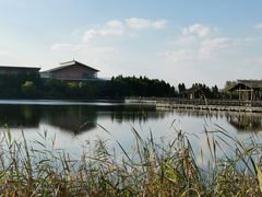 -溱湖国家湿地公园