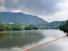 -深圳仙湖植物园