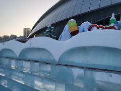 -沈阳奥体冰雪嘉年华