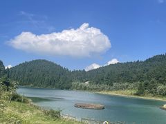 -武陵山森林公园