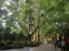 -杭州黄龙洞