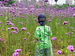 -杭州城北体育公园