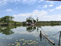 -水岸居湖景农家乐·阳澄湖大闸蟹