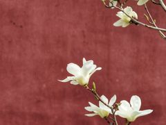-雍和宫(地铁站)