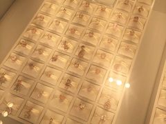 -Pandora潘多拉珠宝(宝山万达广场店)