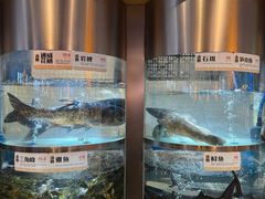 -老船舫·现做活鲜鱼馆(东郊记忆店)