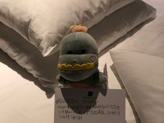 -常州环球恐龙城维景国际大酒店