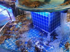 -五月罗马海鲜烤肉自助餐厅(印象城店)