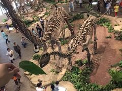 -自贡恐龙博物馆