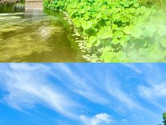-留园
