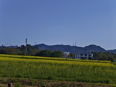 -光明小镇欢乐田园