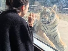 -大连森林动物园