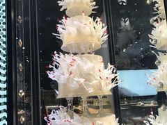 -BLACKSWAN黑天鹅(环球店)