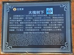-大槐树寻根祭祖园