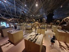 -世界恐龙谷景区