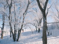 -中旅松花湖滑雪场