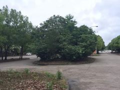 -胜华驾校·小猫学车(银都店)