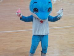 -洪山体育馆篮球馆