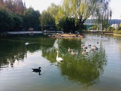 -常州花鸟园酒店(西太湖品牌优选店)