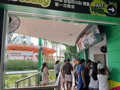 -圣淘沙天际线斜坡滑车