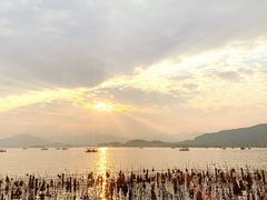 -湖畔居茶楼(湖滨店)