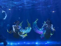 -华夏文旅海洋公园