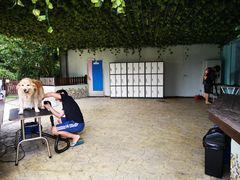 -汪说喵讲宠物乐园宠物酒店(红星美凯龙店)