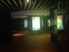 -上海金逸影城(静安大悦城店（原新恒星影城）)