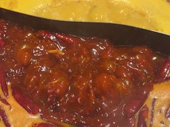 -朱光玉火锅馆(正弘城店)