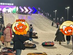 -沈阳奥体冰雪嘉年华